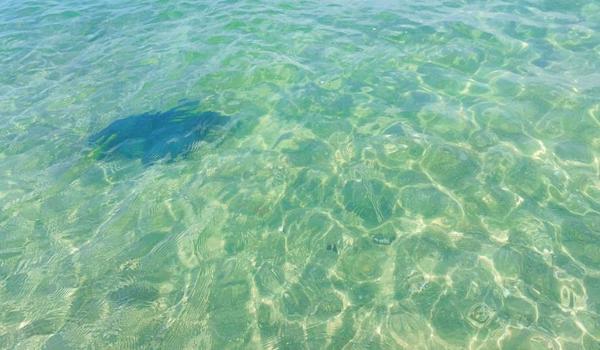 黑客定位手机号免费天眼系统（黑客定位手机号有免费的吗？）